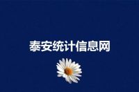 泰安统计信息网
