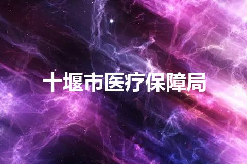 十堰市医疗保障局