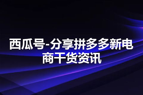 西瓜号-分享拼多多新电商干货资讯