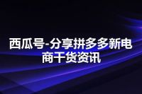 西瓜号-分享拼多多新电商干货资讯