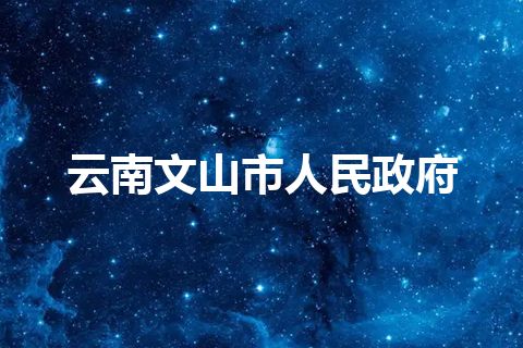 云南文山市人民政府