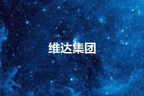 维达集团