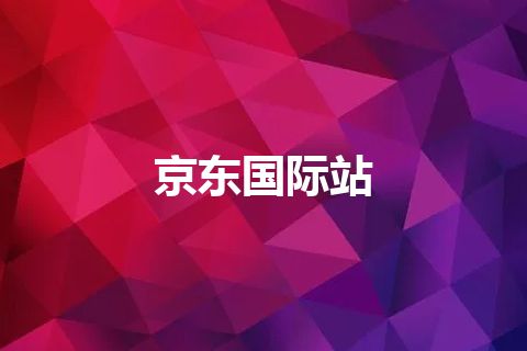 京东国际站