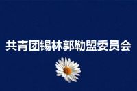 共青团锡林郭勒盟委员会