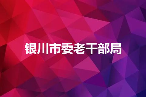 银川市委老干部局