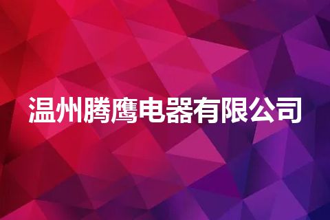 温州腾鹰电器有限公司