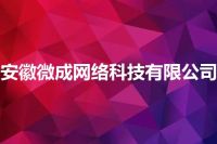 安徽微成网络科技有限公司
