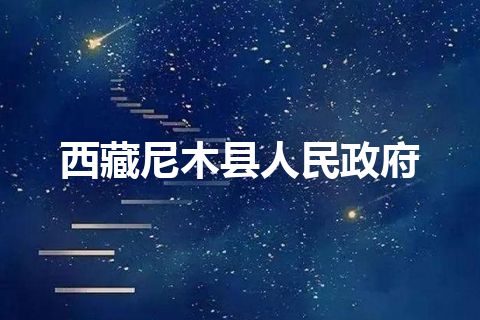 西藏尼木县人民政府