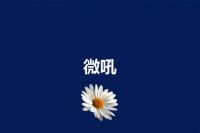 微吼