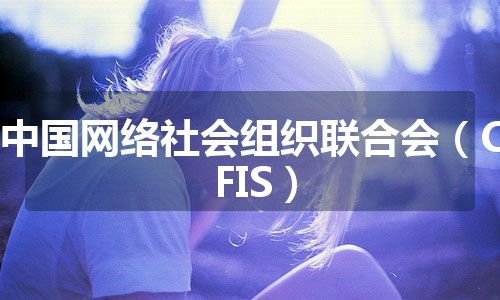 中国网络社会组织联合会（CFIS）