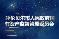 呼伦贝尔市人民政府国有资产监督管理委员会
