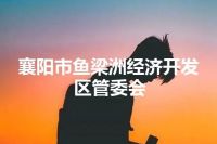 襄阳市鱼梁洲经济开发区管委会