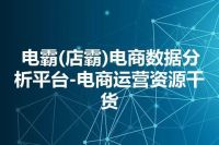 电霸(店霸)电商数据分析平台-电商运营资源干货