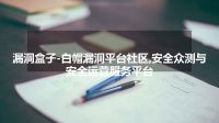 漏洞盒子-白帽漏洞平台社区,安全众测与安全运营服务平台