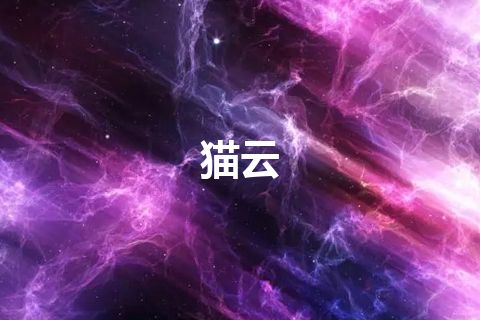 猫云