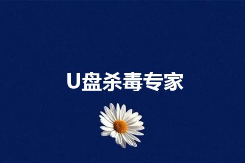 U盘杀毒专家