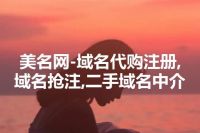 美名网-域名代购注册,域名抢注,二手域名中介