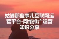 姑婆那些事儿互联网运营平台-网络推广运营知识分享