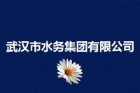 武汉市水务集团有限公司