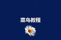 菜鸟教程
