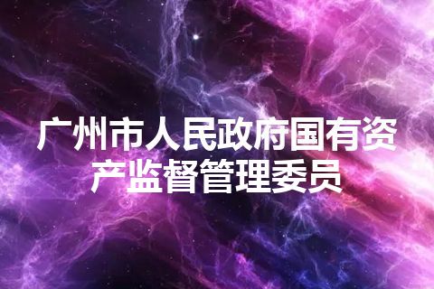 广州市人民政府国有资产监督管理委员