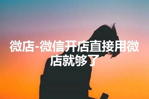 微店-微信开店直接用微店就够了