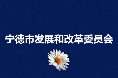 宁德市发展和改革委员会