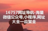 16757网址导航-海量微信公众号,小程序,网址大全一应聚全