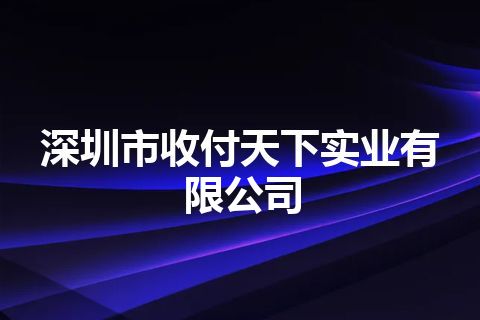 深圳市收付天下实业有限公司