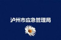 泸州市应急管理局