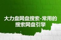 大力盘网盘搜索-常用的搜索网盘引擎