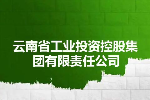 云南省工业投资控股集团有限责任公司