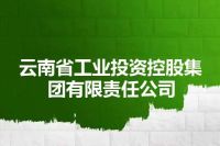 云南省工业投资控股集团有限责任公司