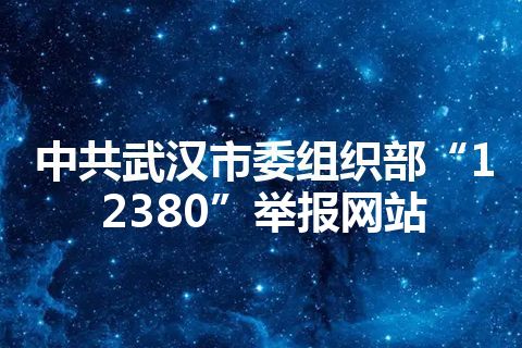 中共武汉市委组织部“12380”举报网站