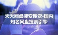 天天网盘搜索搜索-国内知名网盘搜索引擎