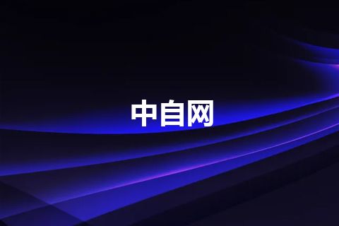 中自网