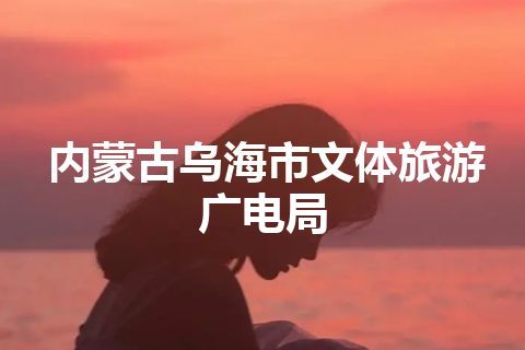 内蒙古乌海市文体旅游广电局