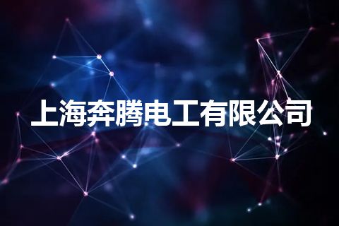 上海奔腾电工有限公司