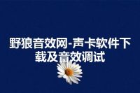 野狼音效网-声卡软件下载及音效调试