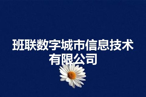 班联数字城市信息技术有限公司