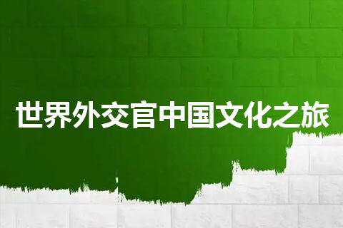 世界外交官中国文化之旅