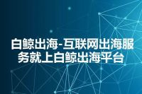 白鲸出海-互联网出海服务就上白鲸出海平台