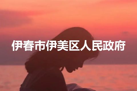 伊春市伊美区人民政府