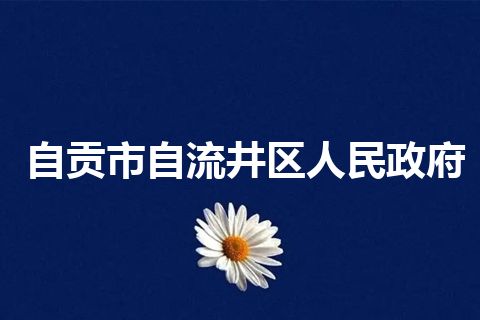 自贡市自流井区人民政府