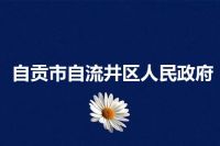 自贡市自流井区人民政府