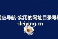 泪应导航-实用的网址目录导航-ileiying.cn
