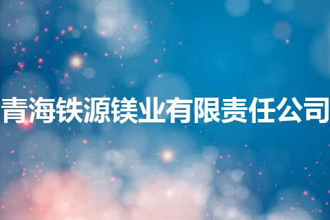 青海铁源镁业有限责任公司