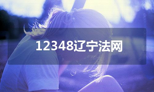 12348辽宁法网