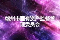 赣州市国有资产监督管理委员会