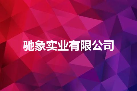 驰象实业有限公司